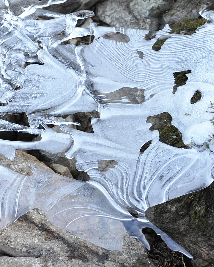 Ice Mask Abstract Photograph by Glenn Gordon