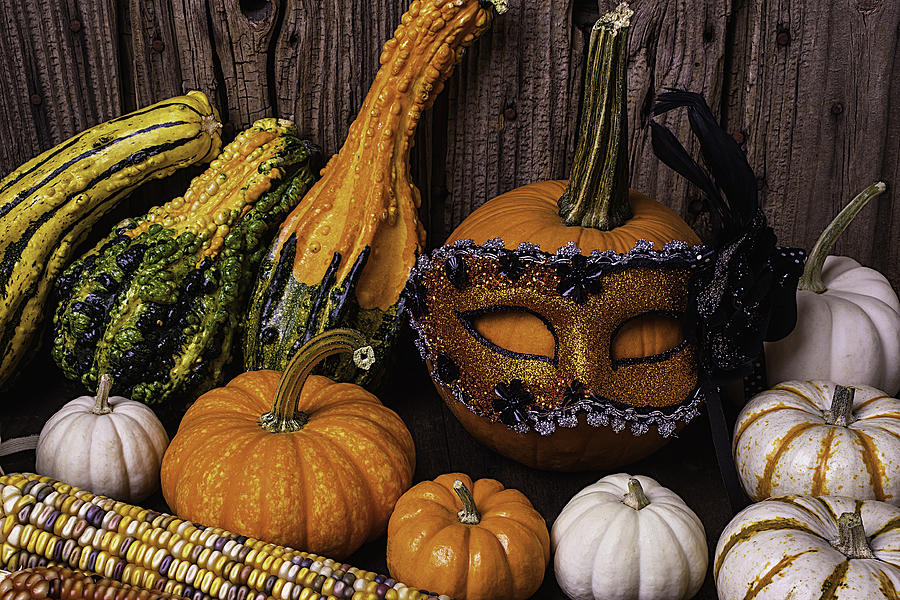 Masked Pumpkin Photograph by Garry Gay