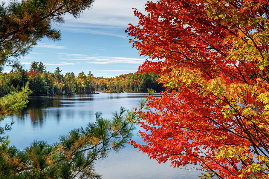 Mason Lake Photograph by Norman Schillawski | Fine Art America