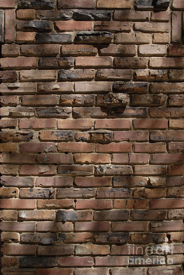 Brick Photograph - Masonry Relief by Walter Neal