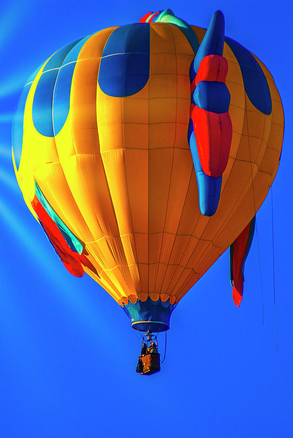 Mass Ascension of Balloons 10 Photograph by Donald Pash