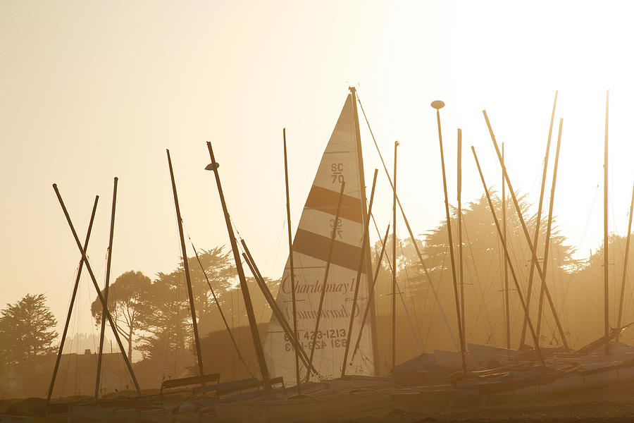 Sailboat masts in soft light Photograph by Marilyn Hunt
