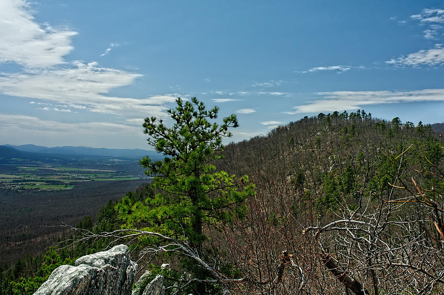Massanutten Ridge Line View Photograph by Lara Ellis