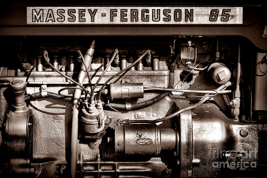 Massey Ferguson 85 Photograph by Olivier Le Queinec