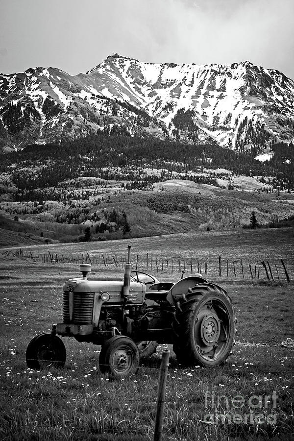 Massey near Dallas Divide Photograph by Imagery by Charly