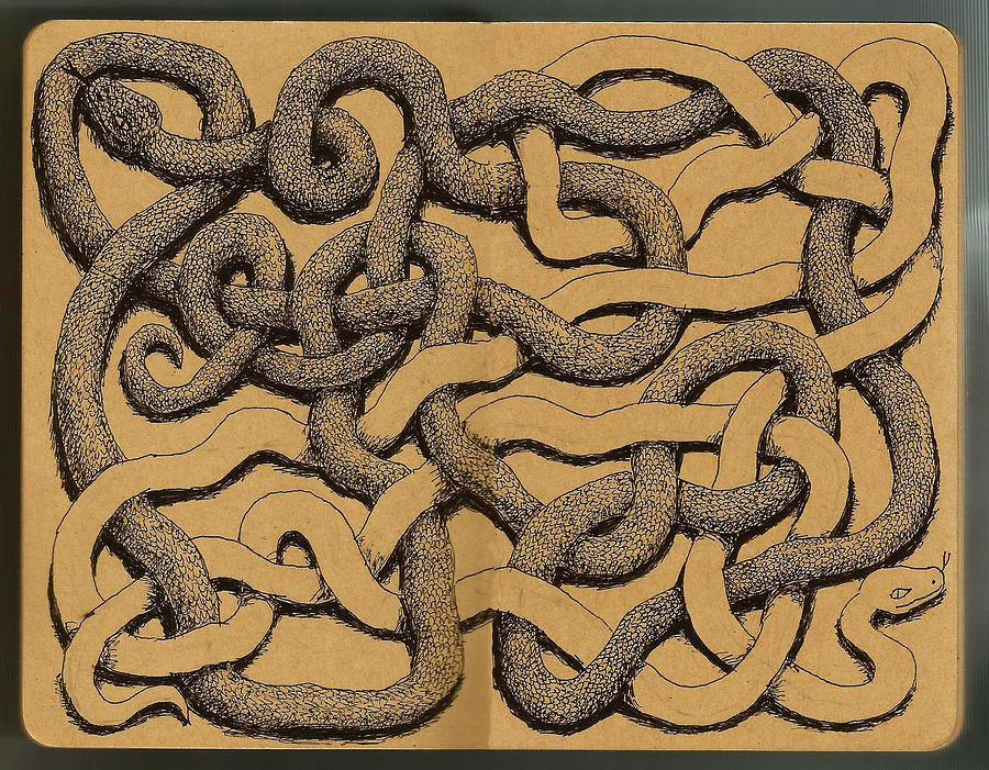 Massimos Two Snakes Drawing by C H Apperson