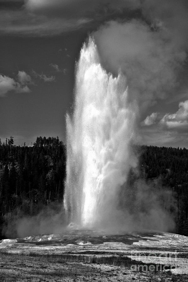 Massive Old Faithful Eruption Black And White Photograph by Adam Jewell