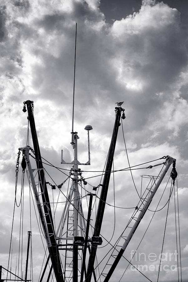 Mast and Booms Photograph by Olivier Le Queinec