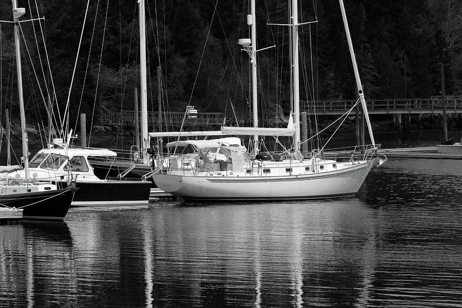 Mast Reflections Maine BW Photograph by Mary Bedy