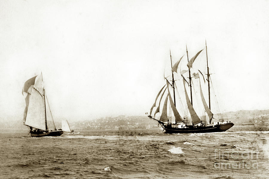 Regatta Photograph - Master mariners Regatta,  racing sail boats   William L. Oliver,  1884 by Monterey County Historical Society
