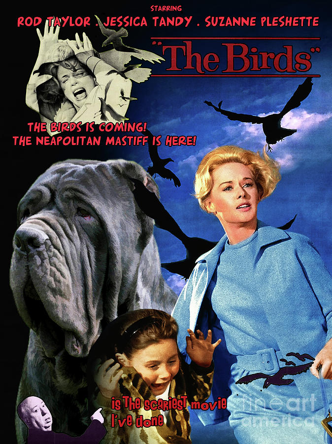 Mastino Napoletano - Neapolitan Mastiff Art Canvas Print - The Birds Movie Poster Painting by Sandra Sij