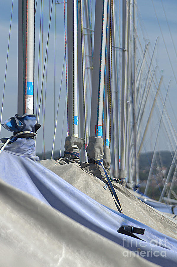Boat Photograph - Masts by Andy Thompson