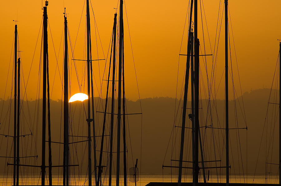 Masts at Dawn Photograph by Mick Burkey