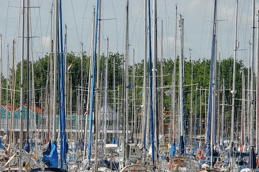 Masts Photograph by Patricia Hofmeester