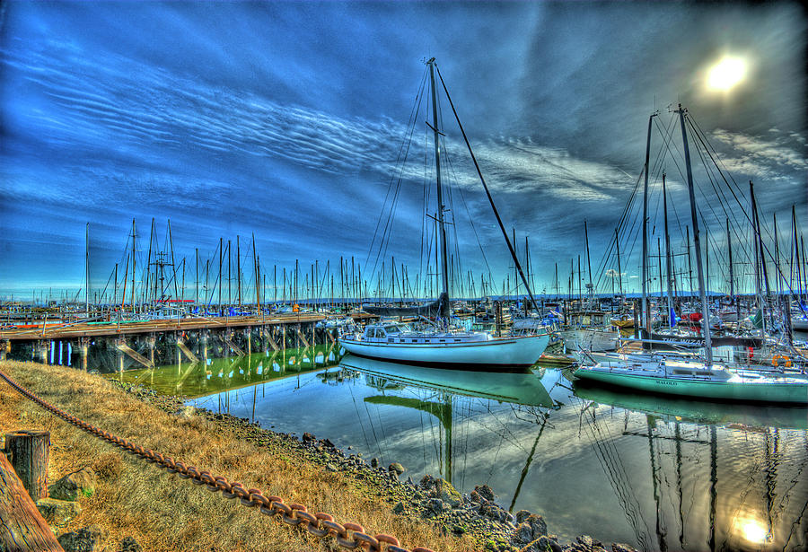 Masts without Sails Photograph by Dale Stillman