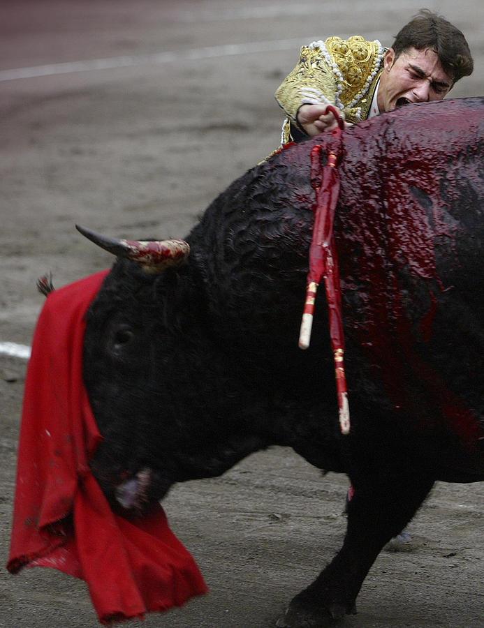Bull Photograph - Matador Fernando Robleno by Rafa Rivas
