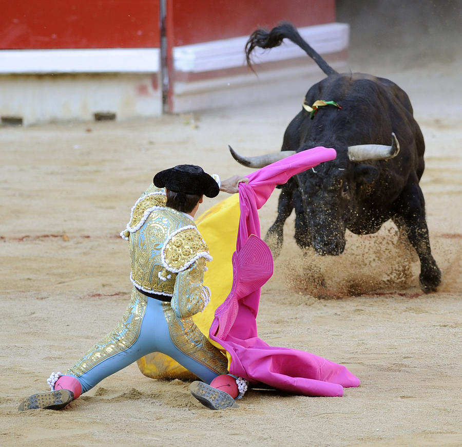 Bull Photograph - Matador Francisco Marco by Rafa Rivas