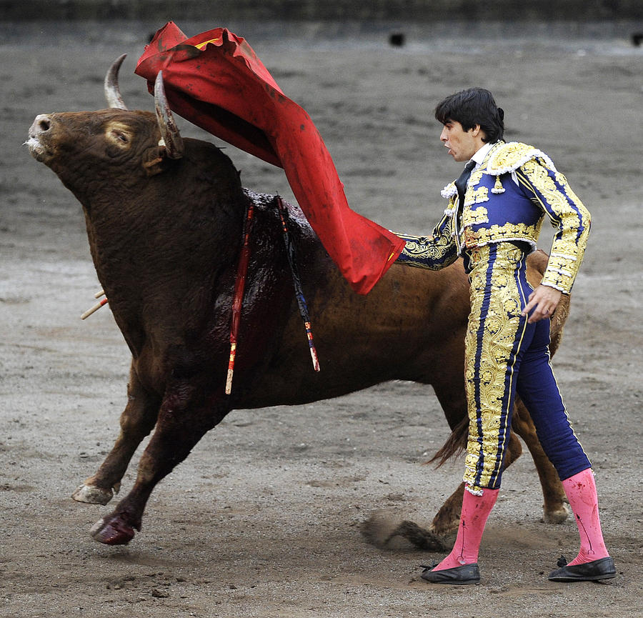 Bull Photograph - Matador Miguel Angel Perera I by Rafa Rivas