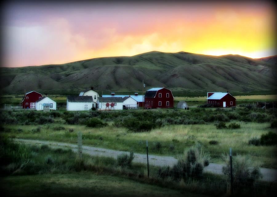 Sunset Photograph - Matador Ranch by Krista Carofano