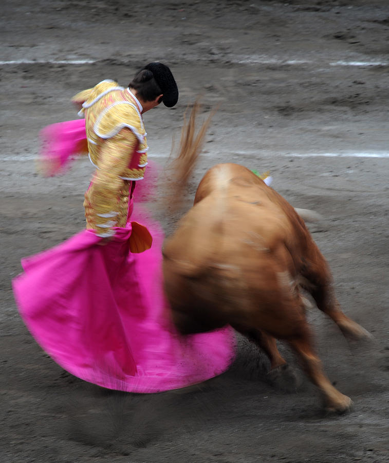 Bull Photograph - Matador Sebastian Castella II by Rafa Rivas