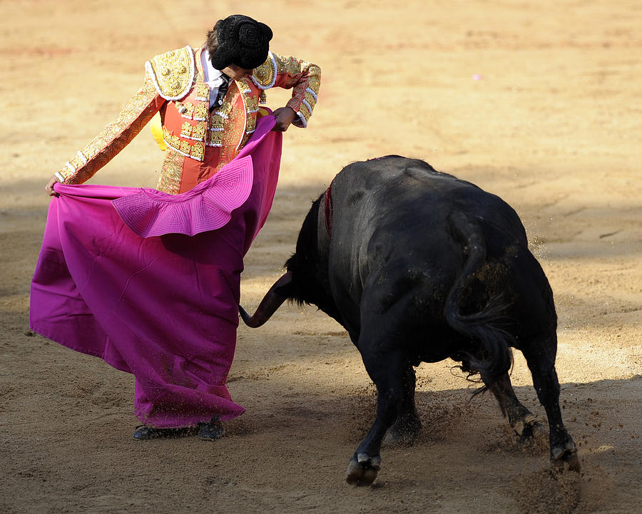 Bull Photograph - Matador Sebastian Castella VIII by Rafa Rivas