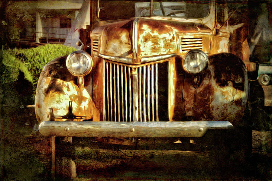 Mater Photograph by Lana Trussell