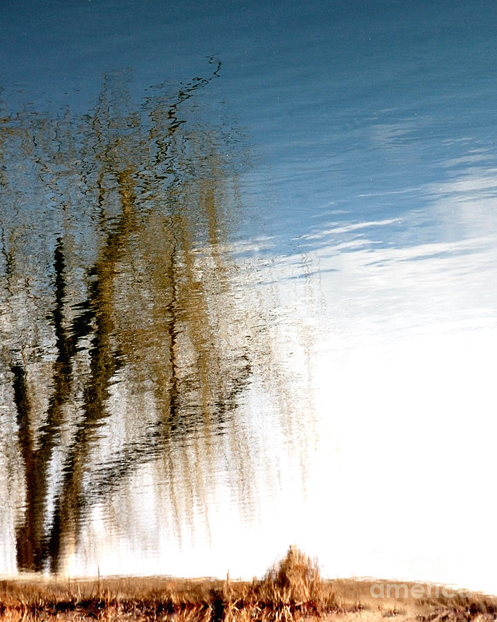 Natural Reflections by Steven Milner