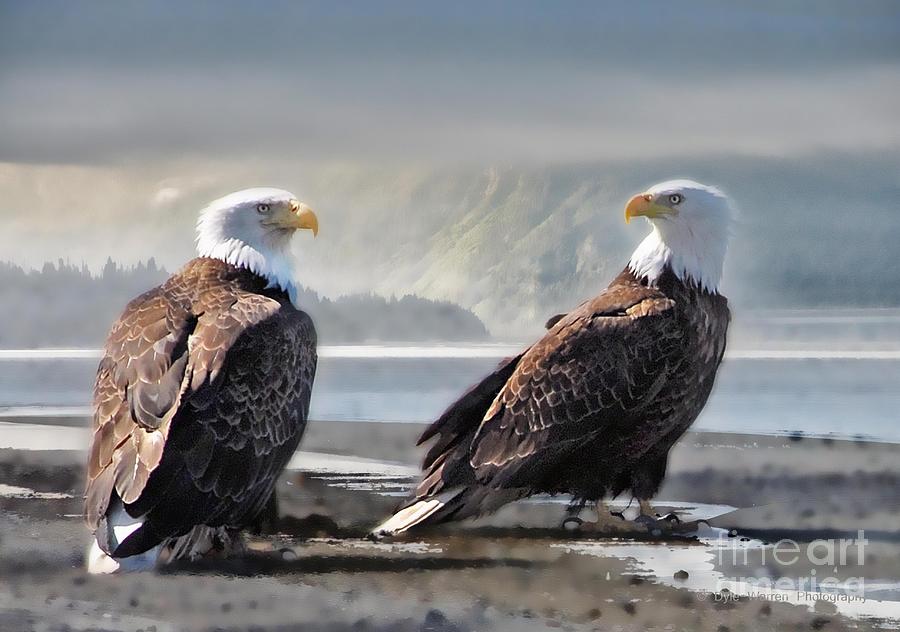 Bald Eagle Photograph - Mates for Life by Dyle   Warren