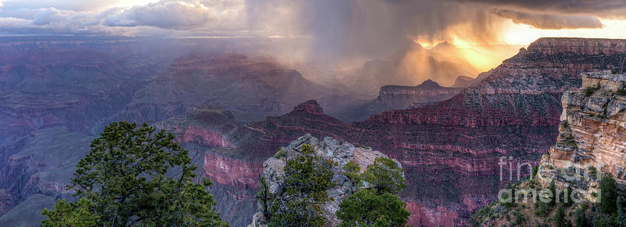 Grand Canyon National Park Photograph - Mather Point Sunrise Snow Squall Panorama by Colin D Young