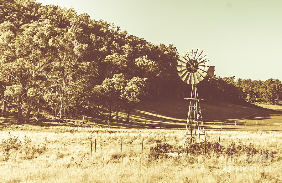Mathinna farmyard field Photograph by Jorgo Photography