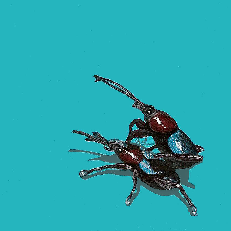 Insects Painting - Mating Weevils by Jude Labuszewski