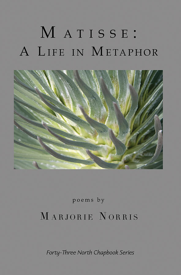 Matisse  A Life in Metaphor book cover Photograph by Don Mitchell