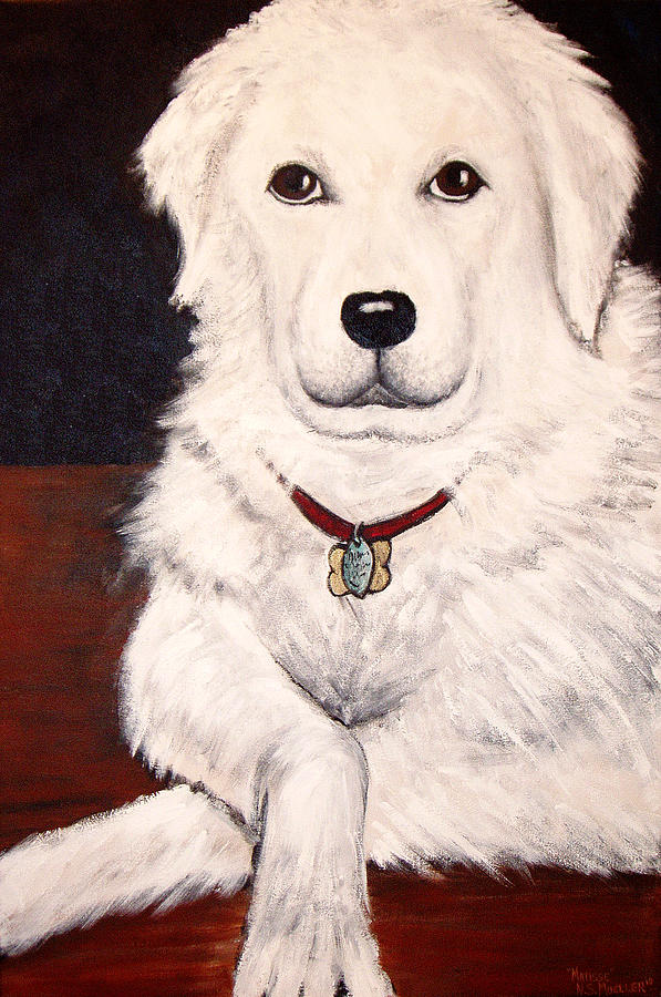 Matisse- Portrait of a Hungarian Kuvasz Painting by Nancy Mueller