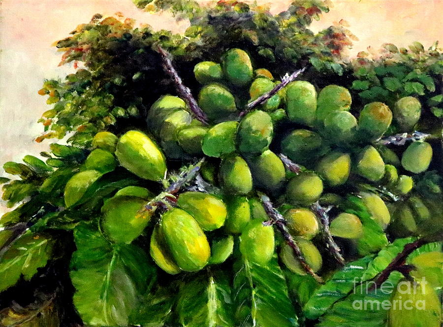 Matoa Fruit Painting by Jason Sentuf