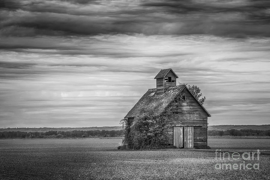 Matter Of Time by Michael Greiner Matter Of Time by Michael Greiner