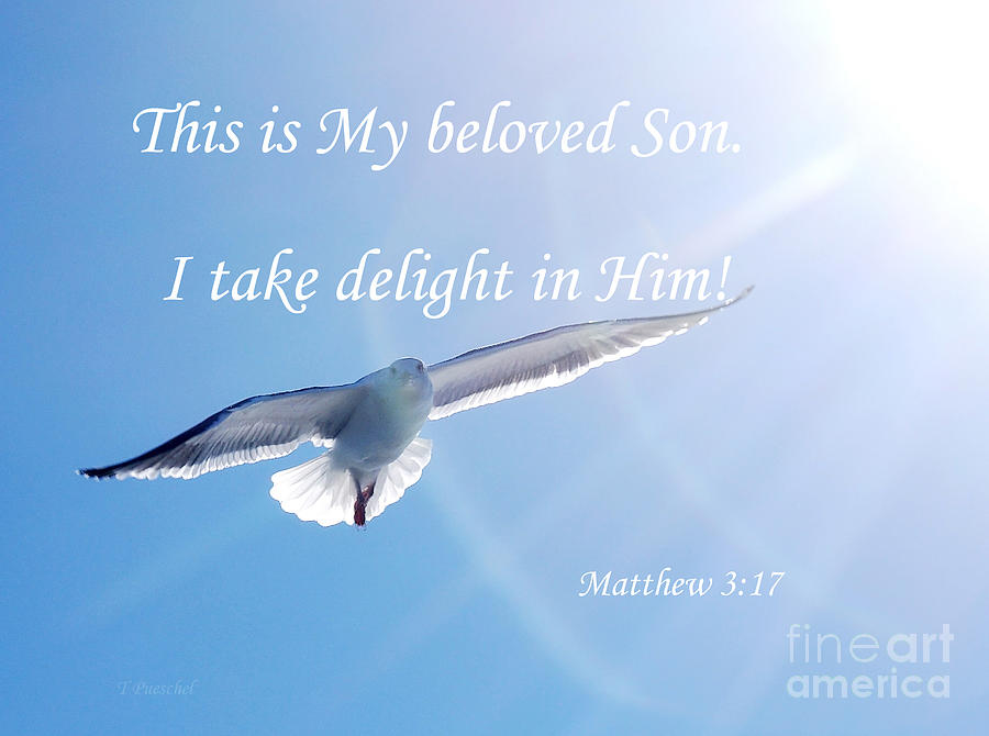 Matthew 3  17 Photograph by Debby Pueschel