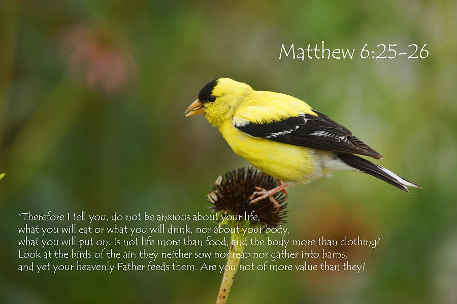 Matthew 6 Photograph by Alan Hutchins