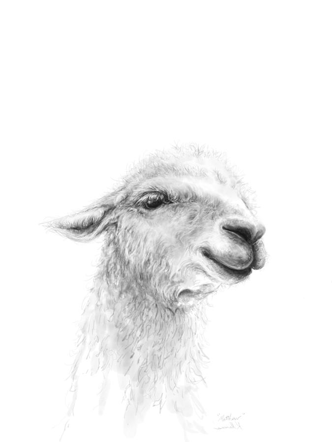 Llama Drawing - Matthew by Kristin Llamas