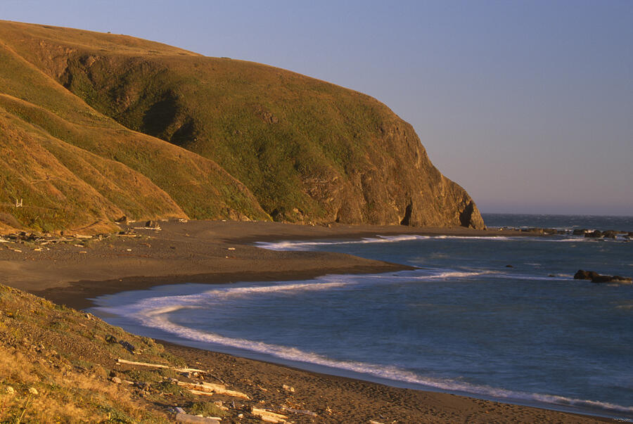 Mattole Beach: Your Wild California Escape