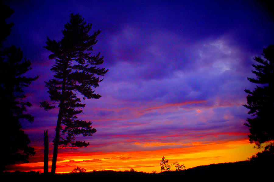 Sunset Photograph - Maudslay Sunset 2 by Suzanne DeGeorge