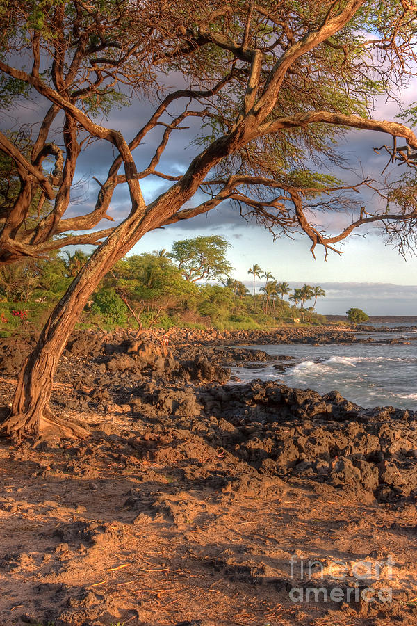 Maui beach Photograph by Bryan Keil