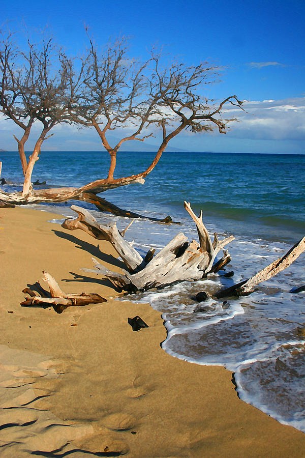 Nature Photograph - Maui Beach by James BO Insogna