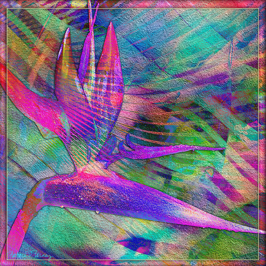 Maui Bird of Paradise Digital Art by Barbara Berney
