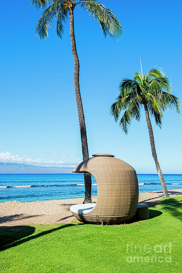 Maui Chair Photograph by Baywest Imaging