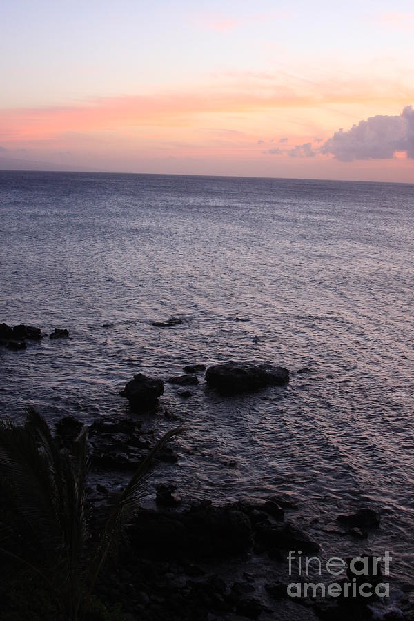 Sunset Photograph - Maui Coast with Lava Rocks at Sunset by Robin Pedrero