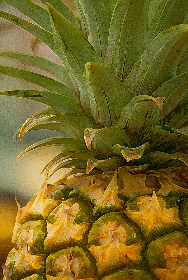 Maui Gold Pineapple Photograph by Harry Donenfeld
