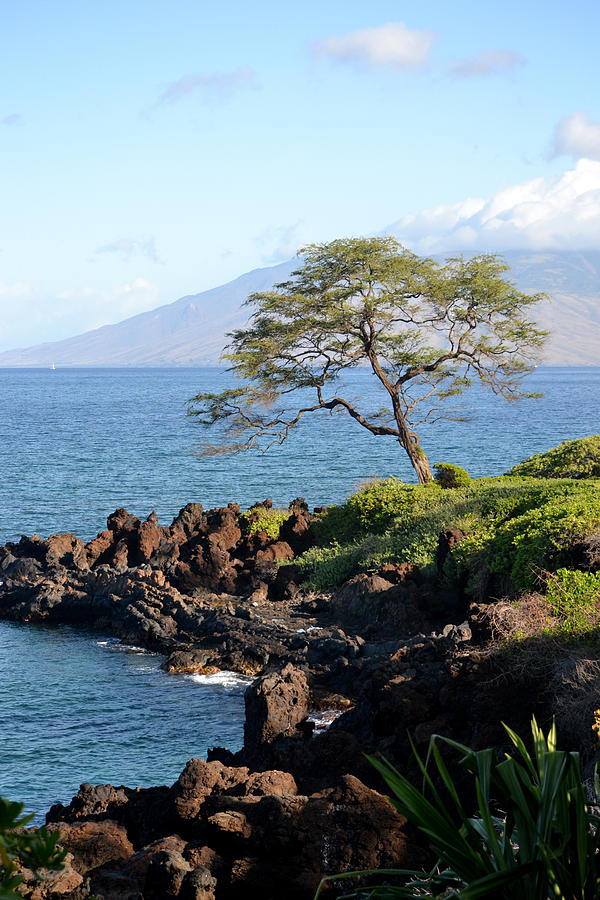 Maui HI Photograph by Dean Ferreira
