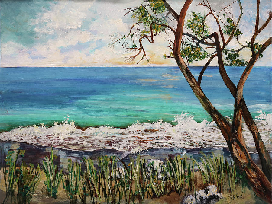 Maui In The Summer No.1 Painting by Carole Sluski