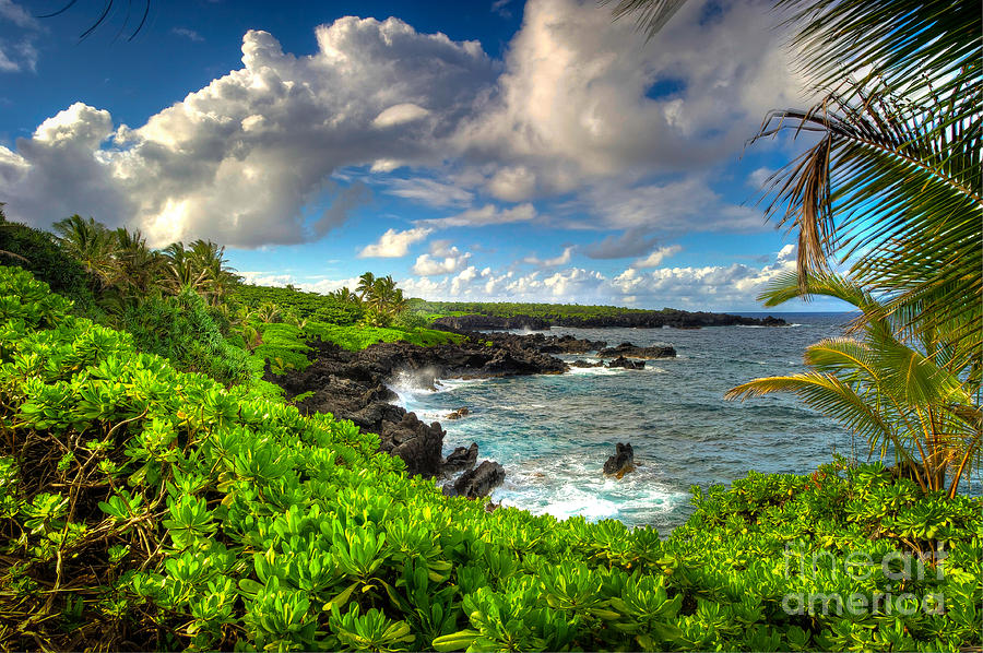 Maui Lava Coast Photograph by Ken Andersen - Fine Art America