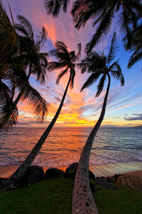 Maui Magic Photograph by James Roemmling